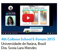 4th Coltène School E-Forum 2015
Universidad de Itaúna, Brasil
Dra. Sonia Lara Mendes